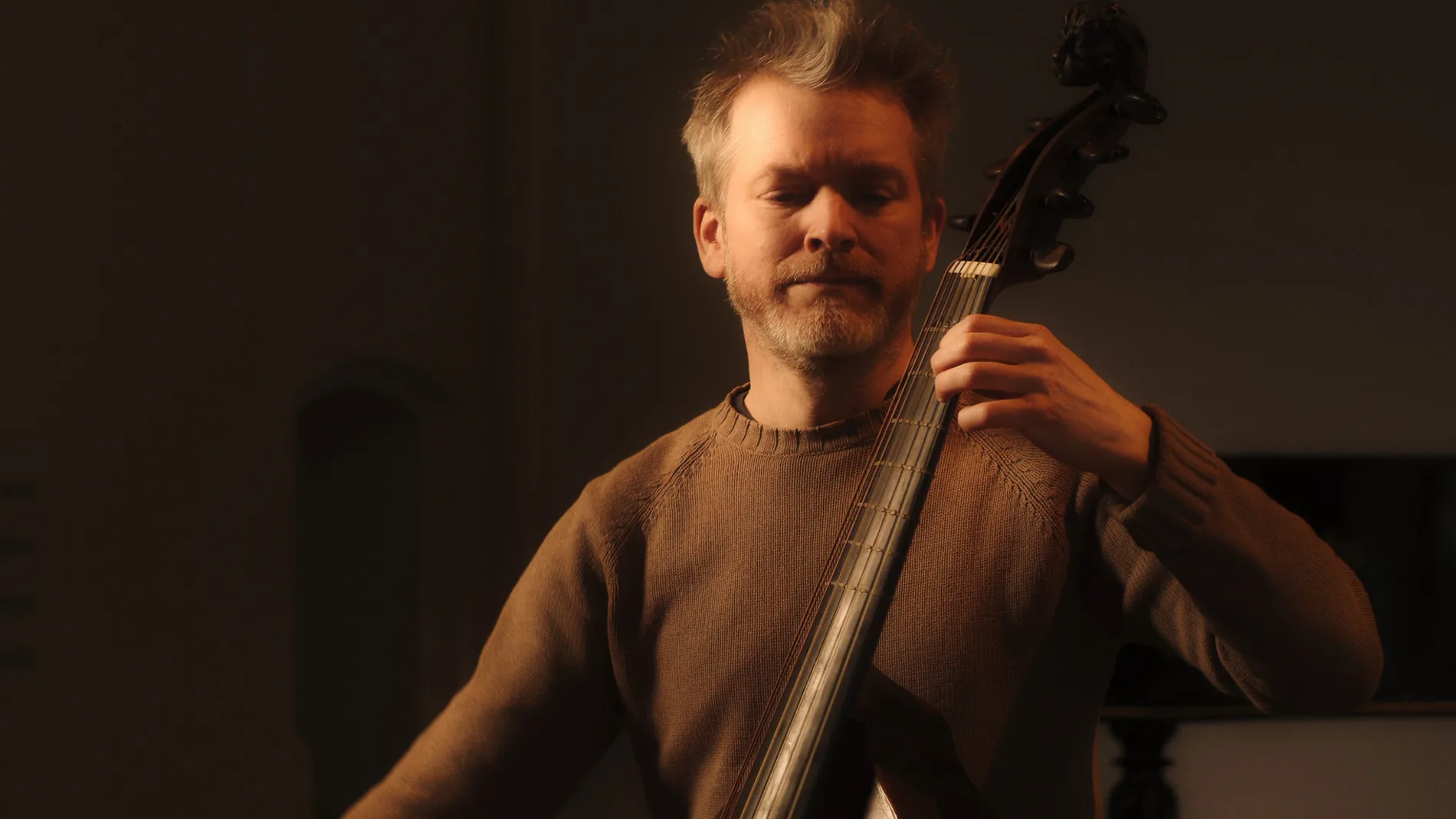 Double bass player in warm stage light